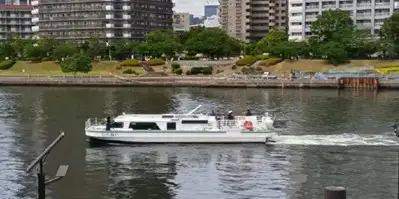 shiranui