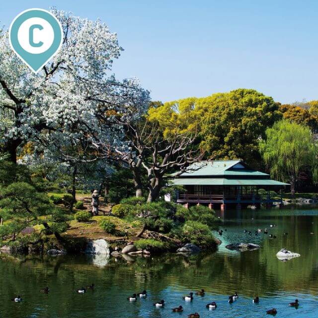 清澄庭園